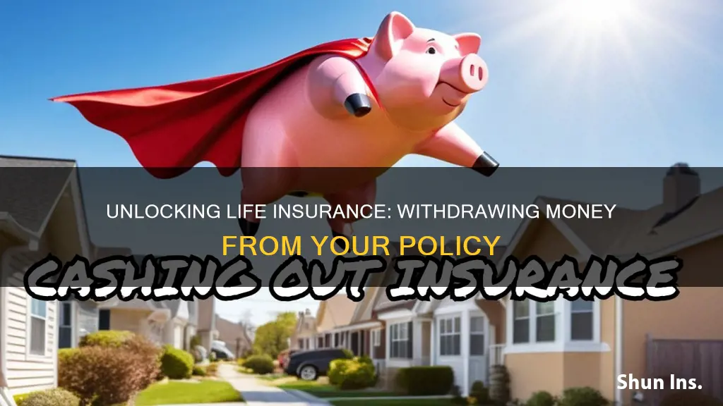 how to pull money from life insurance