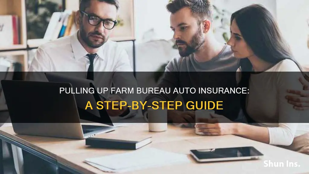 how to pull up farm bureau auto insurance