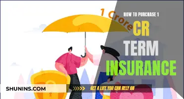 Comprehensive Guide to Purchasing 1 Cr Term Insurance