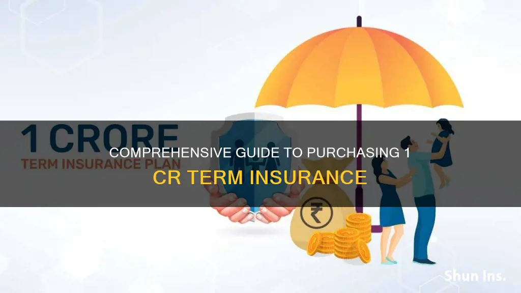 how to purchase 1 cr term insurance