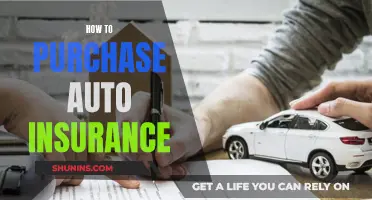 Auto Insurance: A Guide to Buying