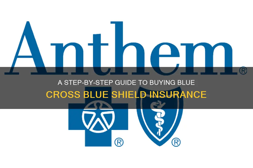 how to purchase blue cross blue shield insurance