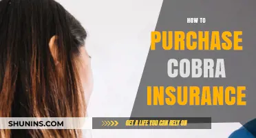 A Comprehensive Guide to Purchasing Cobra Insurance: What You Need to Know