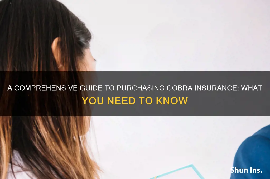 how to purchase cobra insurance