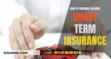 The Ultimate Guide to Purchasing Colonial Short-Term Insurance