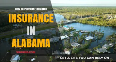 Alabama Disaster Insurance Guide: Steps to Secure Your Coverage Today