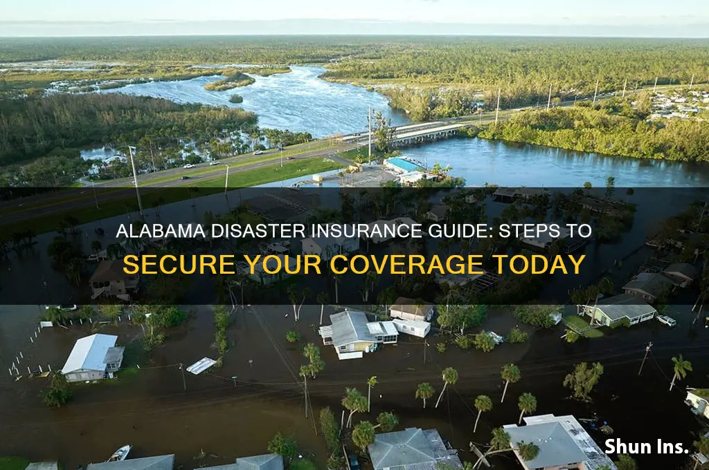 how to purchase disaster insurance in alabama