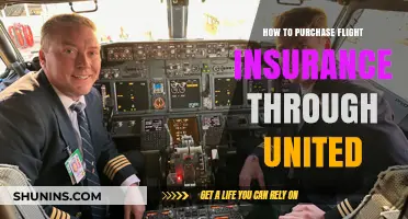 Ultimate Guide to Buying United Airlines Flight Insurance Easily
