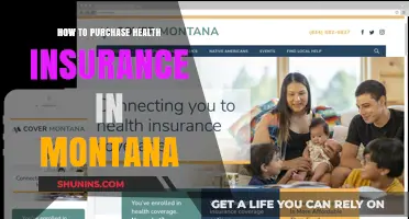 Navigating Montana's Health Insurance Market: A Buyer's Guide