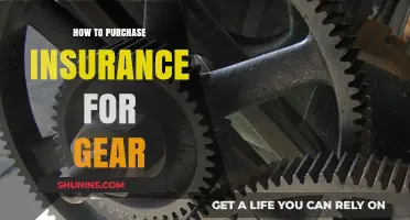 Essential Guide to Buying Insurance for Your Valuable Gear