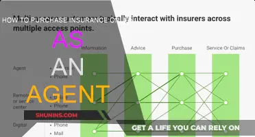 Online Insurance Buying: An Agent's Guide