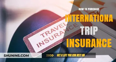 Essential Guide to Buying International Travel Insurance for Your Trip