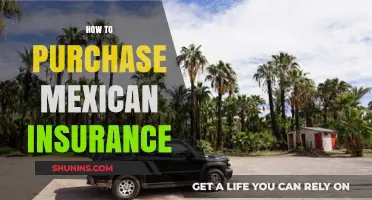 Your Guide to Buying Mexican Insurance: Tips and Essentials