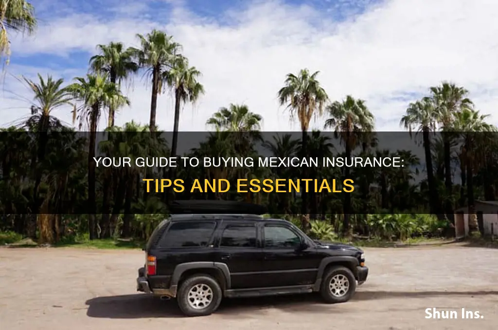 how to purchase mexican insurance