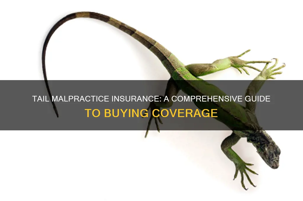 how to purchase tail malpractice insurance