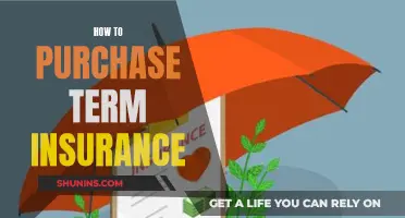 Term Insurance: Navigating the Purchase Process with Confidence