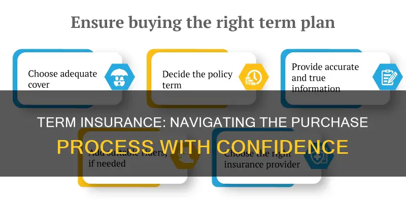 how to purchase term insurance