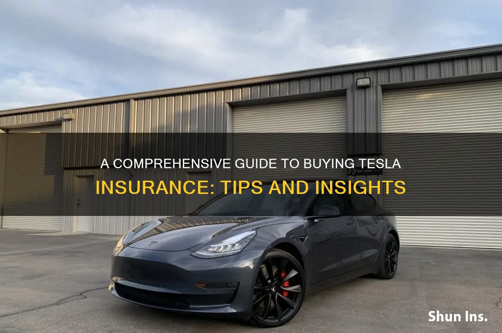 how to purchase tesla insurance