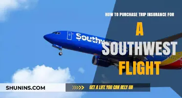 Secure Your Southwest Flight: A Guide to Buying Trip Insurance