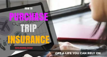 Trip Insurance: What to Know Before You Buy