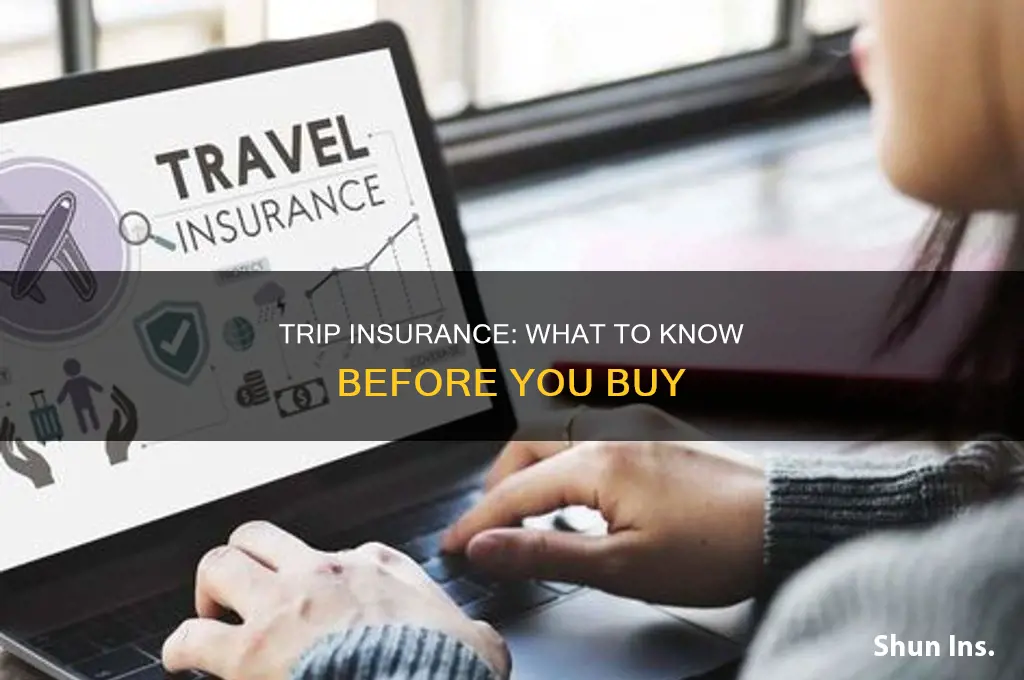 how to purchase trip insurance