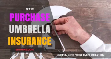 Understanding Umbrella Insurance: A Comprehensive Guide to Buying Extra Coverage