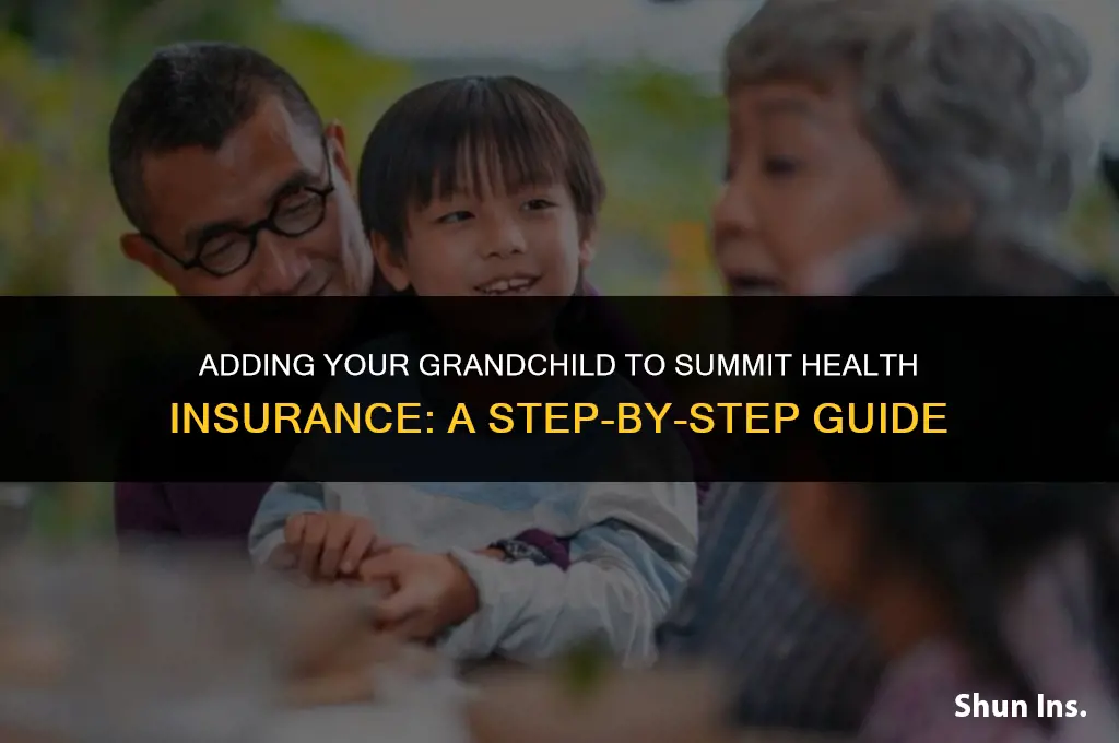 how to put grandchild on summit health insurance