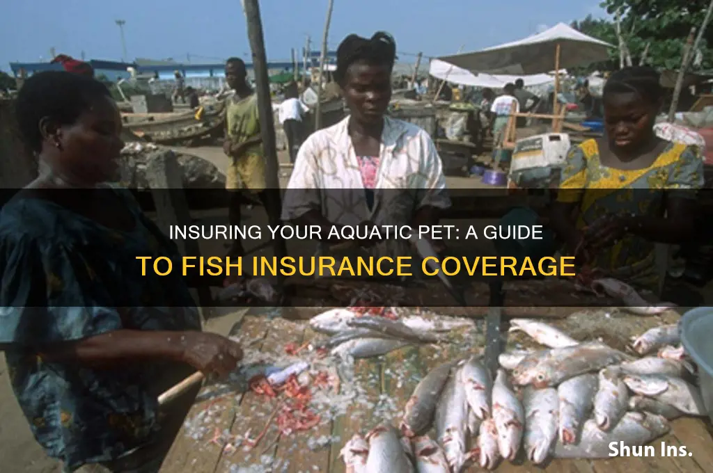 how to put insurance on a fish