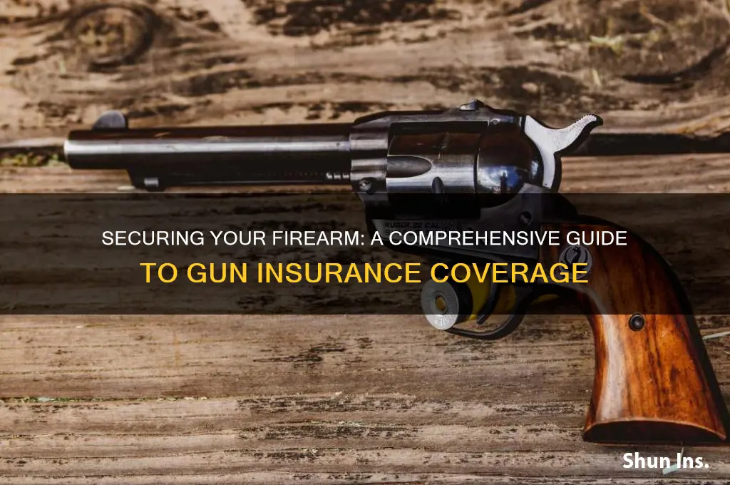 how to put insurance on gun