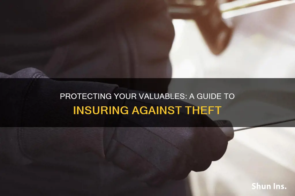 how to put insurance on things that could be stolen