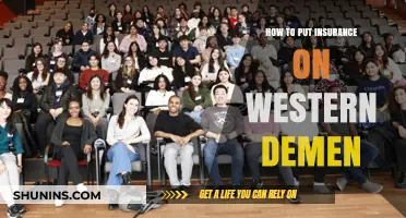 Securing Western Demen: A Comprehensive Guide to Insurance Coverage
