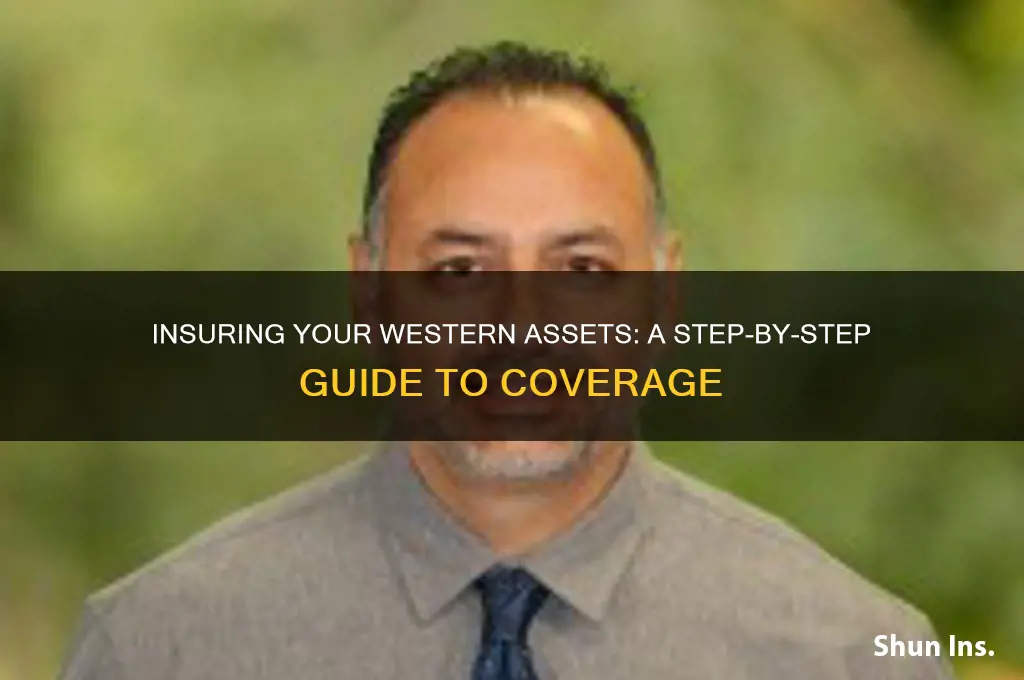 how to put insurance on western