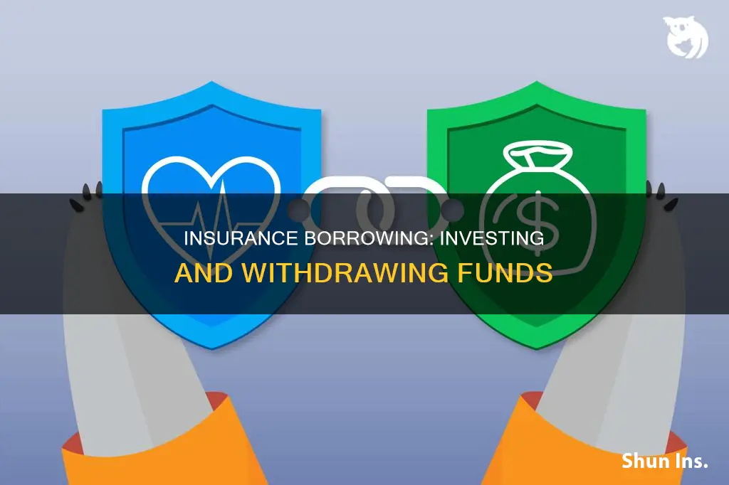 how to put money in insurance and borrow from it