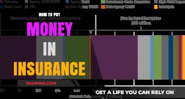 Smart Ways to Invest in Insurance