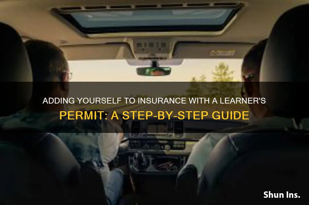 how to put myself on insurance with a permit
