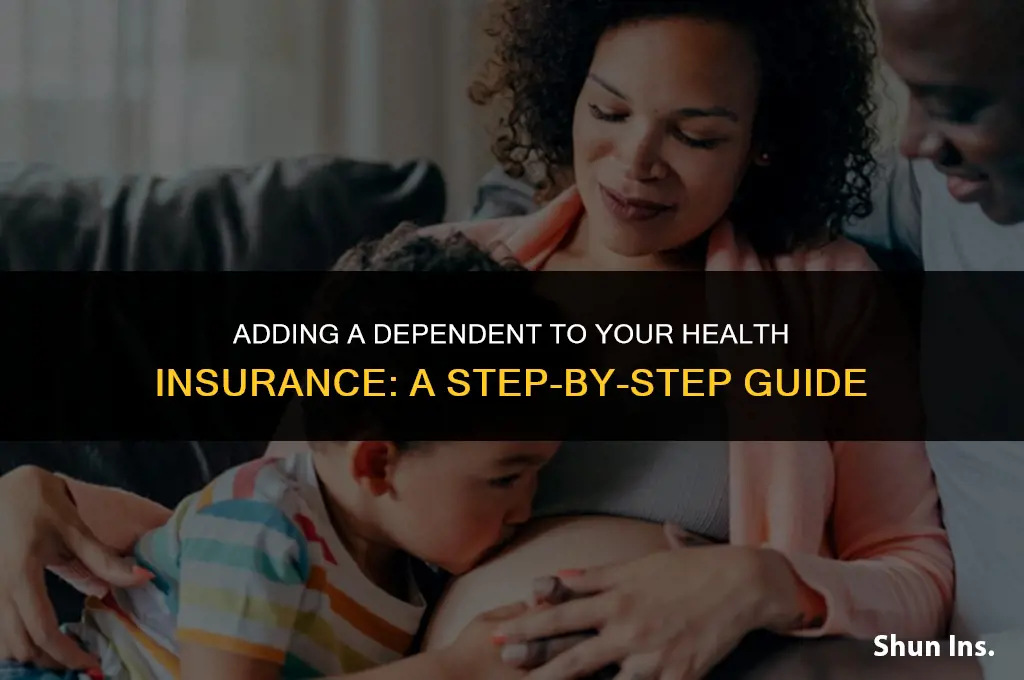 how to put someone on your health insurance