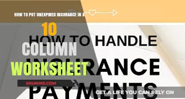 Organizing Unexpired Insurance Data Efficiently in a 10-Column Worksheet