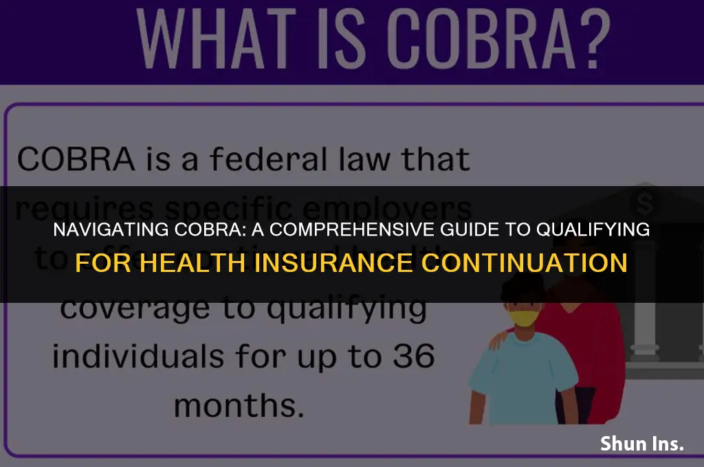 how to qualify for cobra health insurance