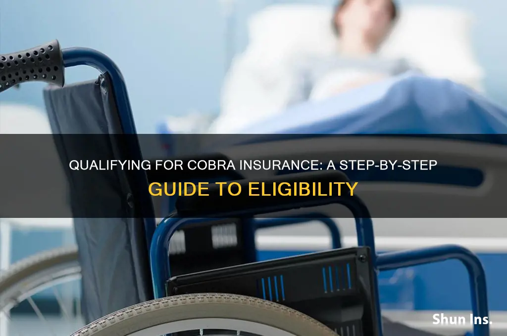 how to qualify for cobra insurance