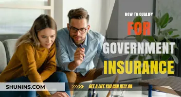 Unlocking Government Insurance: Eligibility Criteria and Application Tips