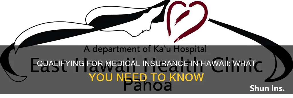 how to qualify for medical insurance in hawaii