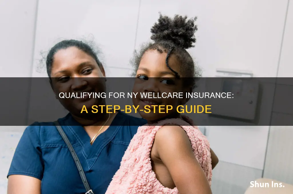 how to qualify for ny wellcare insurance