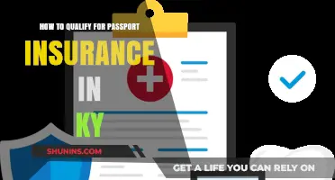 Kentucky Passport Insurance: Eligibility Requirements and Application Tips
