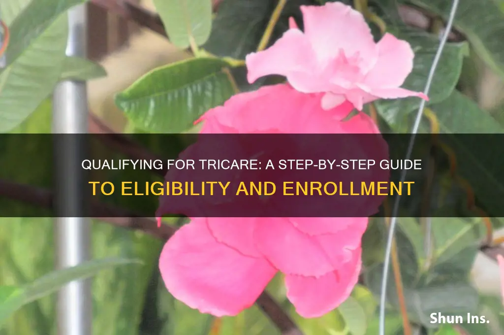how to qualify for tricare insurance