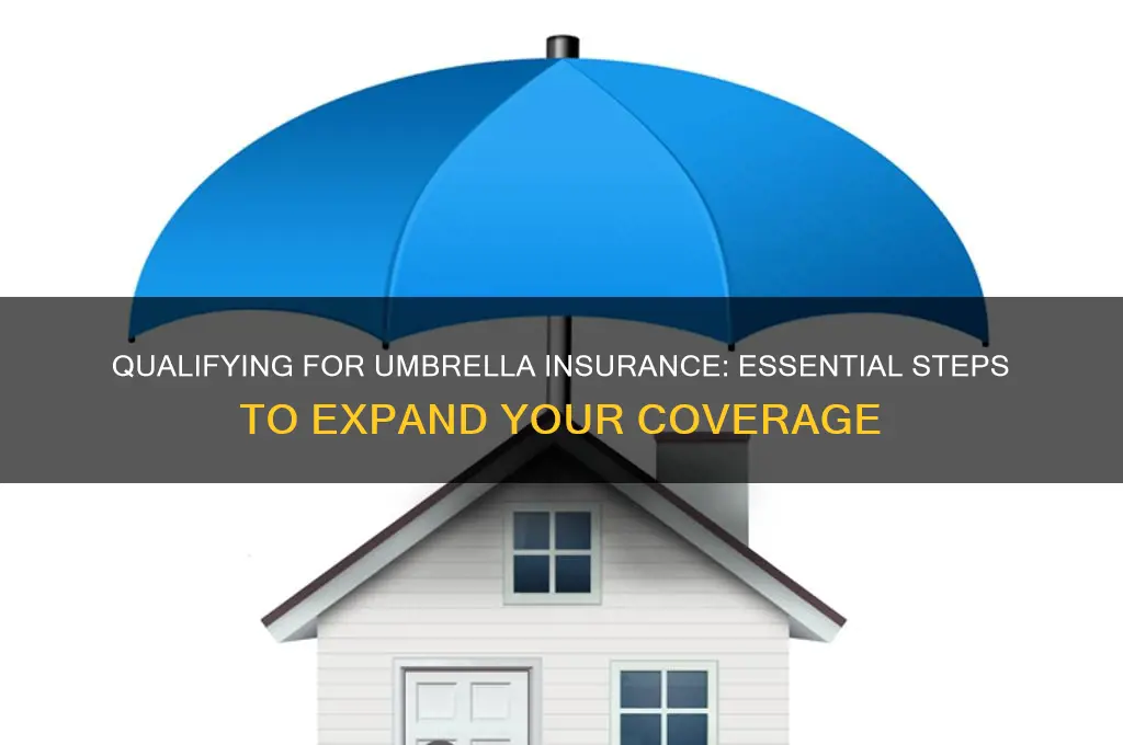 how to qualify for umbrella insurance