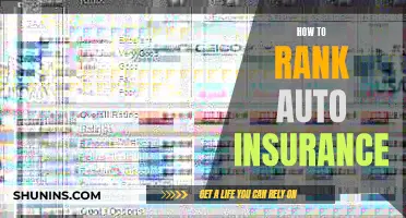 Strategies to Rank Auto Insurance Policies