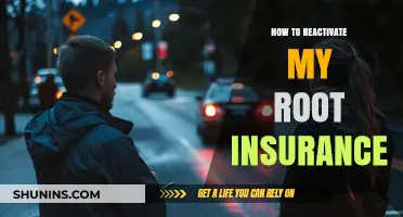 Reactivate Root Insurance: A Step-by-Step Guide to Restore Coverage