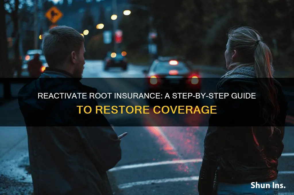 how to reactivate my root insurance