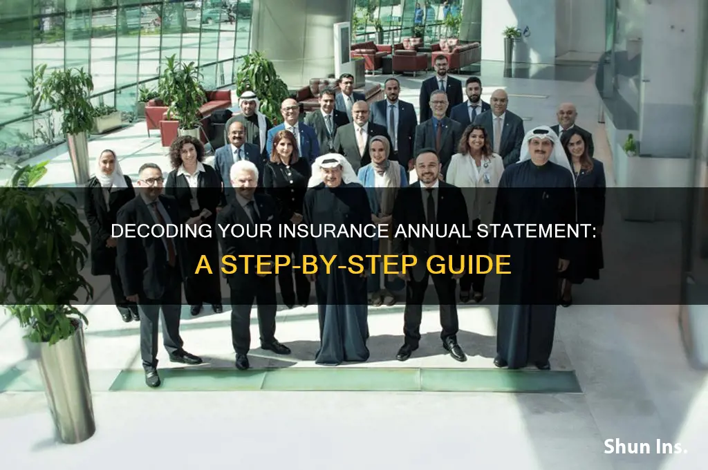 how to read an insurance annual statement