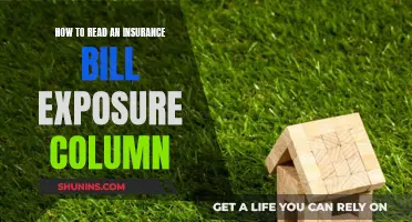 Understanding Your Insurance Bill: Decoding the Exposure Column